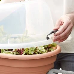 Elho Green Basics Flower Bridge Grow House 55cm -Garden Care Shop 1024663 4