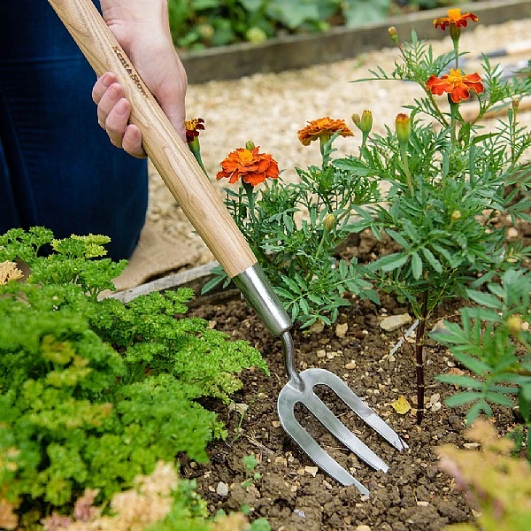 Kent & Stowe Stainless Steel Border Hand Fork 4 Kent & Stowe Stainless Steel Border Hand Fork - Image 2