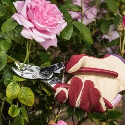 Kent & Stowe Rose Cut & Hold Secateurs -Garden Care Shop 1031091 2