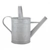 Fallen Fruits Old Zinc Watering Can 1.6L -Garden Care Shop 1077089