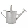 Fallen Fruits Old Zinc Watering Can 8.7L -Garden Care Shop 1077092