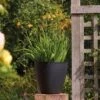 Stewart Garden 53cm Basalt Tall Round Planter - Black -Garden Care Shop 1115428