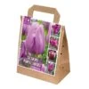 Violet Shades Assorted Tulips (30 Bulbs) -Garden Care Shop 1119809