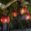 Smart Garden Ladybird Set Of 10 Solar Powered String Lights -Garden Care Shop 1133506