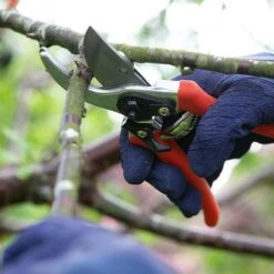 Wilkinson Sword Folding Pruner Saw & Pruner Set -Garden Care Shop 1140375 2