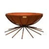 Ivyline Outdoor Metal Dakota Firebowl Rust -Garden Care Shop 1149589