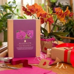 Plantsmith Orchid Care Gift Box Feed & Mist -Garden Care Shop 1171544 4