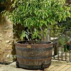 Jardinopia Plant Pot Feet Bronze Labrador - Set Of 3 -Garden Care Shop 1177293 3