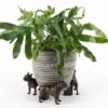 Jardinopia Plant Pot Feet Bronze French Bulldog -Garden Care Shop 1177301