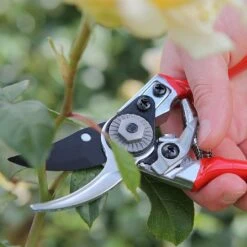 Darlac Small Bypass Pruner -Garden Care Shop 1202088 4