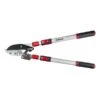 Darlac Telescopic Ratchet Lopper -Garden Care Shop 1202099