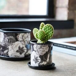 Kew Eclectic Orangery Noir Planter With Saucer 13cm -Garden Care Shop 1227769 4