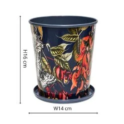 Kew Temperate House Planter With Saucer 14cm 10 Kew Temperate House Planter With Saucer 14cm -Garden Care Shop 1227771 4