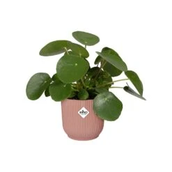 Elho Vibes Fold Round Planter 22cm Delicate Pink -Garden Care Shop 1230824 4