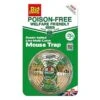 The Big Cheese Ready-Baited Multi-Catch Live Mouse Trap (2 Colours) -Garden Care Shop 1233137