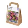 Bouquet Tulipa & Allium (30 Bulbs) -Garden Care Shop 1248852