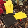 Gold Leaf Gents Tough Touch Gloves -Garden Care Shop 240108