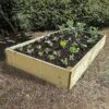Deluxe Extra Deep Wooden Raised Vegetable Bed 1.8x.0.9mtr -Garden Care Shop 453687