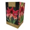 Amaryllis Ruby Star Indoor Growing Kit -Garden Care Shop 666427
