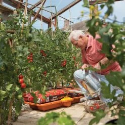 Hozelock Growbag Waterer 12 Hozelock Growbag Waterer -Garden Care Shop 771491 4