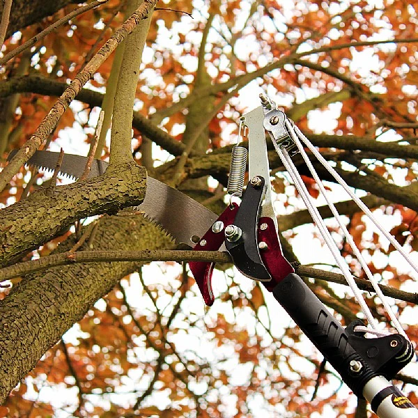 Kent & Stowe Telescopic Tree Lopper 4 Kent & Stowe Telescopic Tree Lopper - Image 2