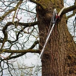 Kent & Stowe Telescopic Tree Lopper 7 Kent & Stowe Telescopic Tree Lopper -Garden Care Shop 910042 2