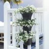 Elho Corsica Vertical Forest 24cm Planters - Set Of 3 (Various Colours) -Garden Care Shop CORFOR24