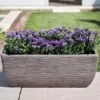 Cotswold Trough Planter 60cm -Garden Care Shop COTTRO60